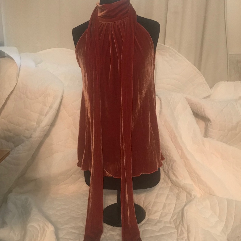 Paul & Joe burnt orange velvet top